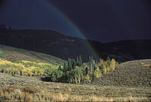 Rainbow coming from aspen grove