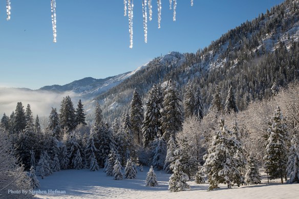 the morning after a storm