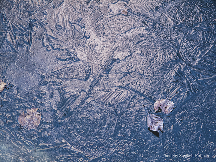 SHg10_140320-5991-Edit72