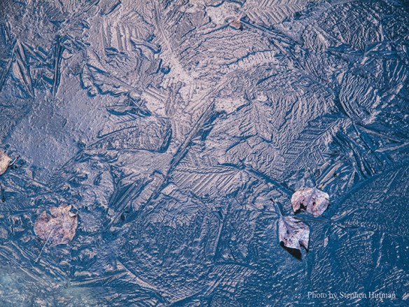 SHg10_140320-5991-Edit72