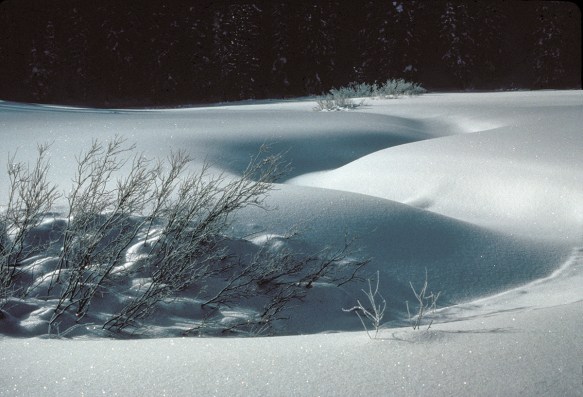 snow covering a meandering stream