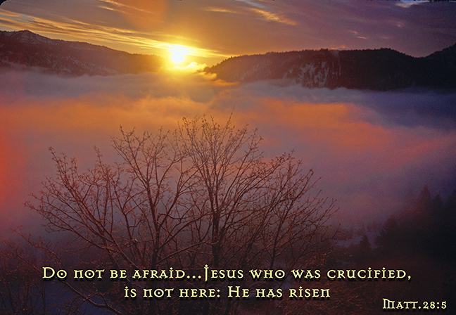 Do not be afraid for He has risen