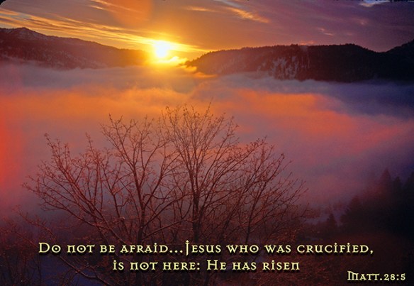 Do not be afraid for He has risen