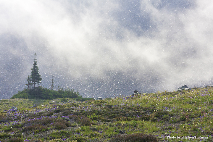 Mount Rainier-Berkeley Park