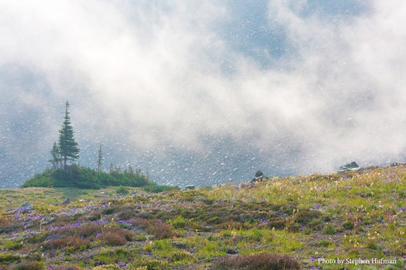 Mount Rainier-Berkeley Park