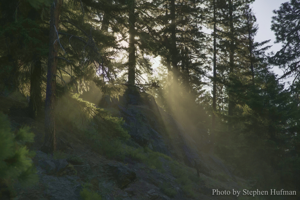 letting-in-the-sunshine