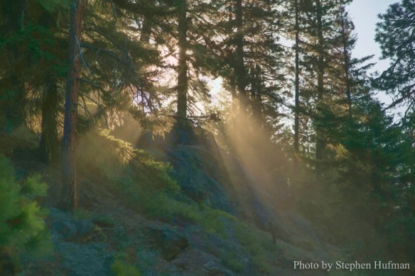 letting-in-the-sunshine