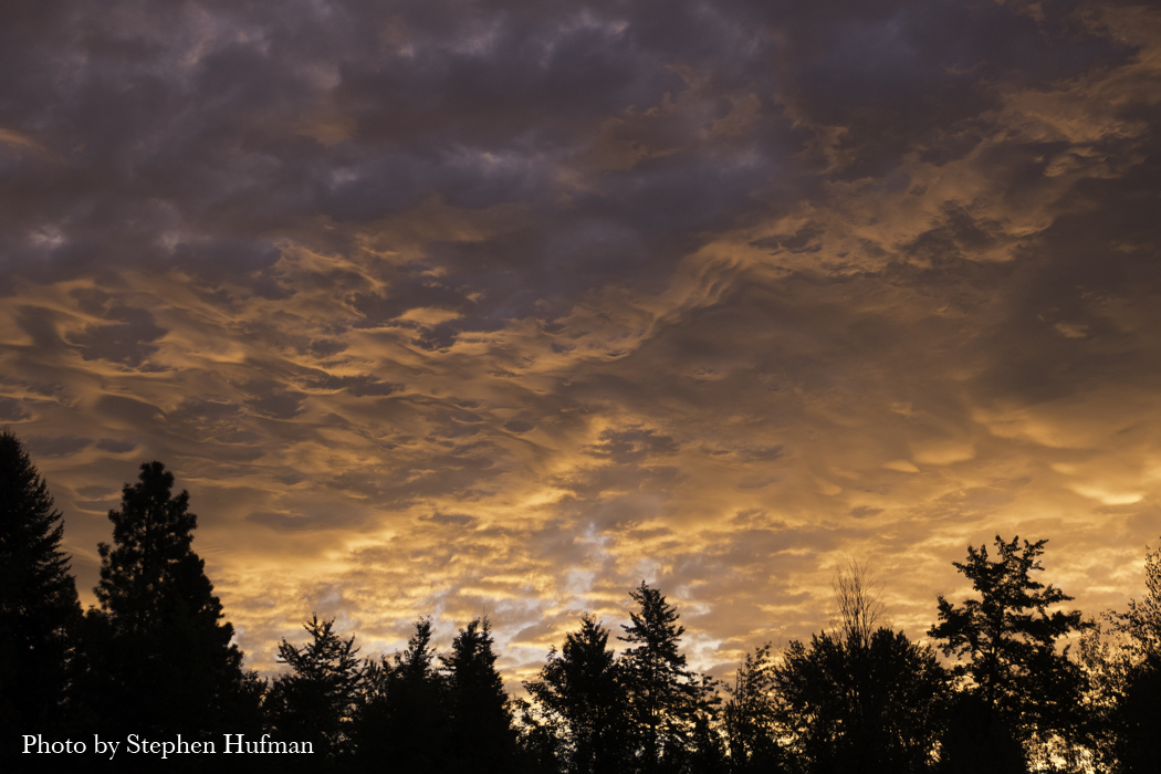 Awaken to the Morning