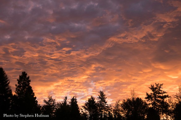 Awaken to the Morning