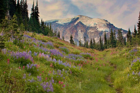 Wonderland Trail, Mt. Rainier NP