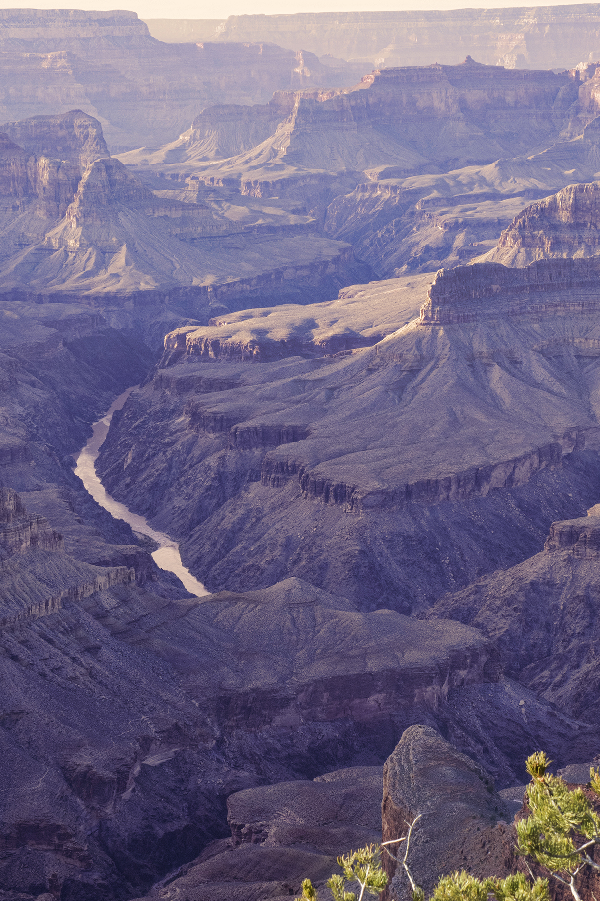 SHg3_161117-5461-Editb