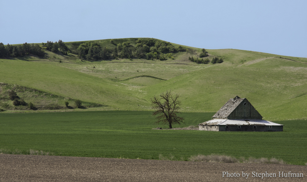 palouse120517-4492
