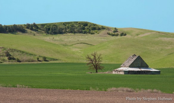 palouse120517-4492