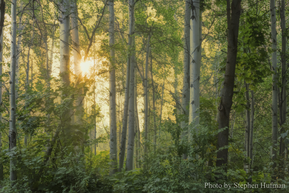 Rejoicing in the new day