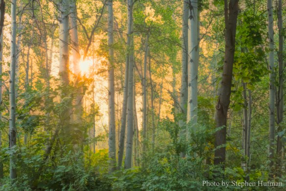 Rejoicing in the new day