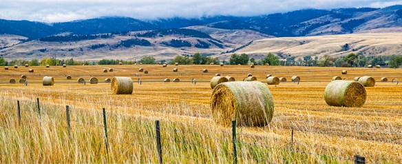 Hale bales_Panorama1