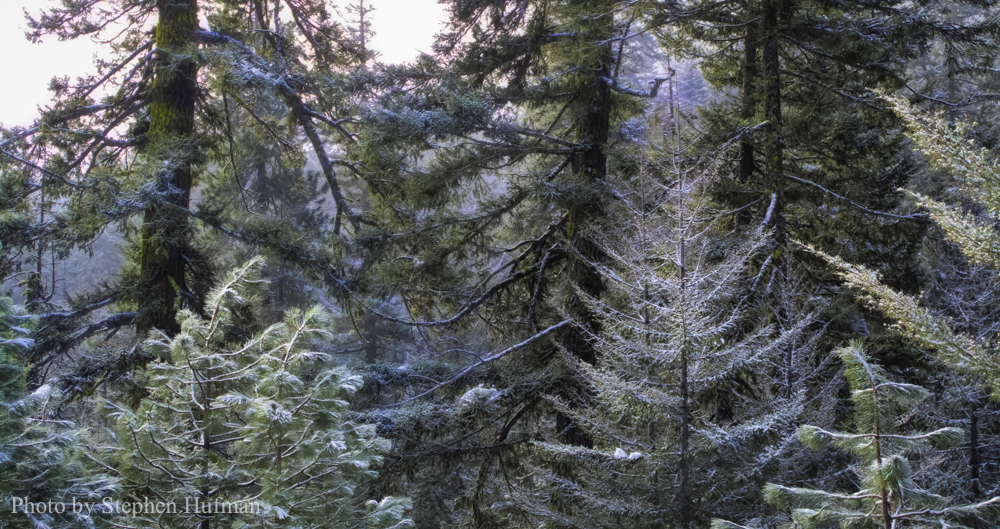 RAWg10-130124-3503editb