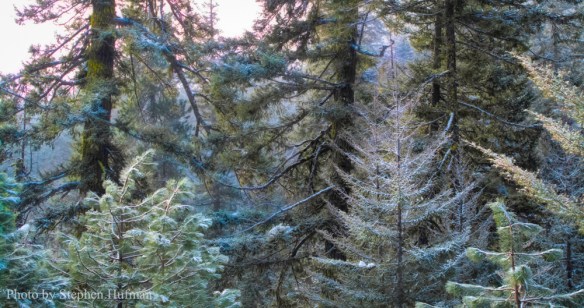 RAWg10-130124-3503editb