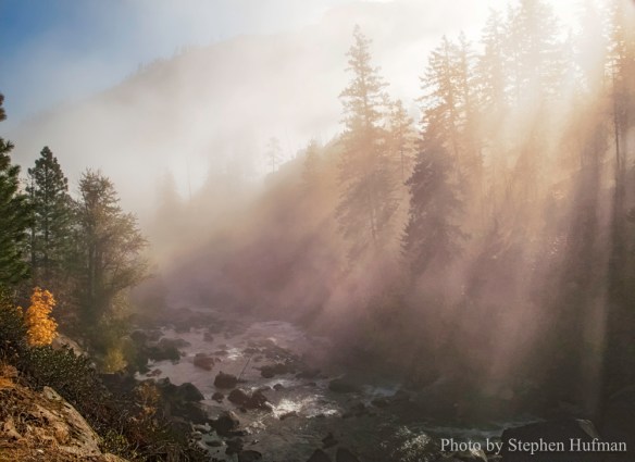 SHg10_151019-0238-2 copy