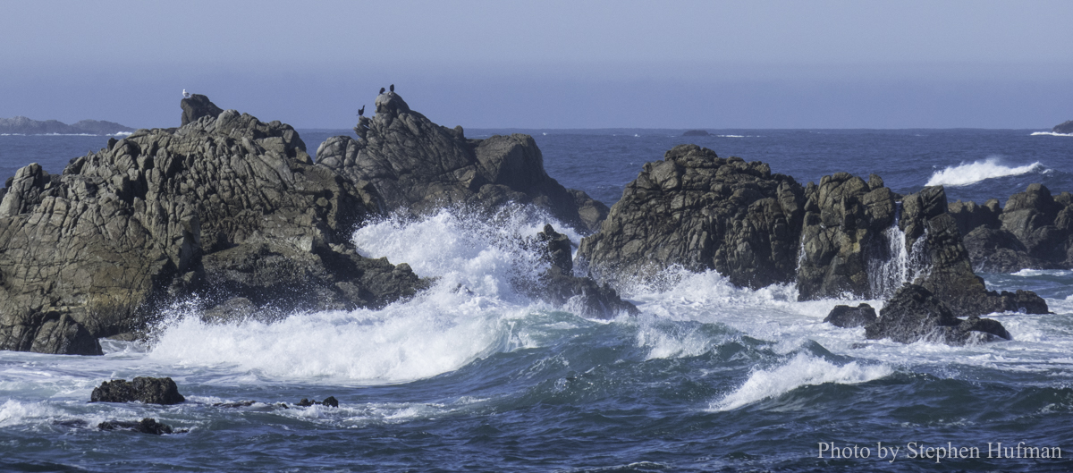 SH_180331-Monterey-3389