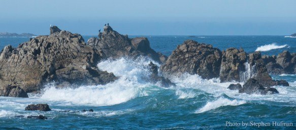 SH_180331-Monterey-3389