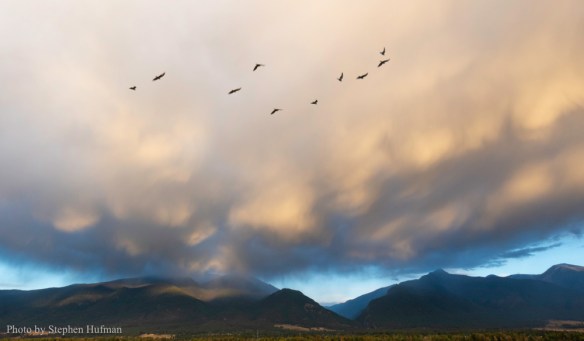 SH_0264-180914-6439-2