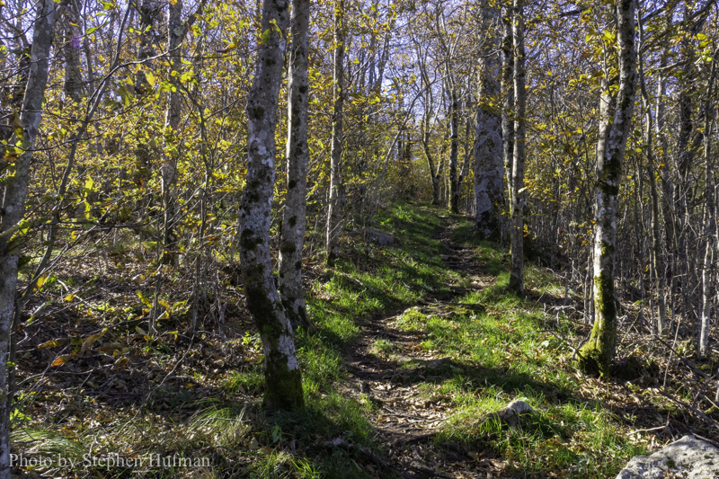 SH_181028-BlueRidge-7336-HDR