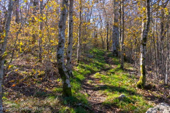 SH_181028-BlueRidge-7336-HDR