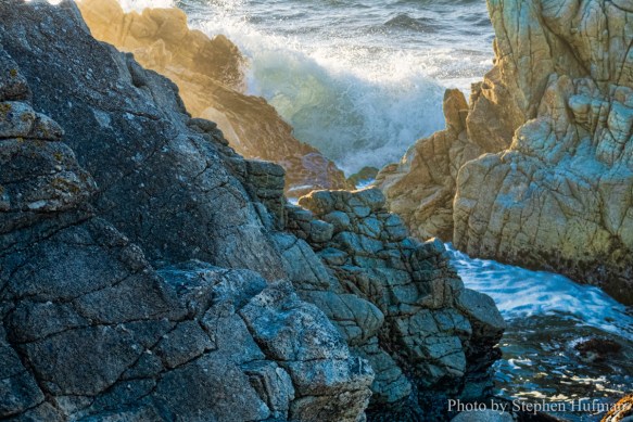 SH_180331-Monterey-3590