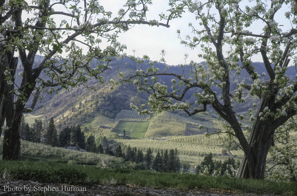 farm-0001-Edit-Edit
