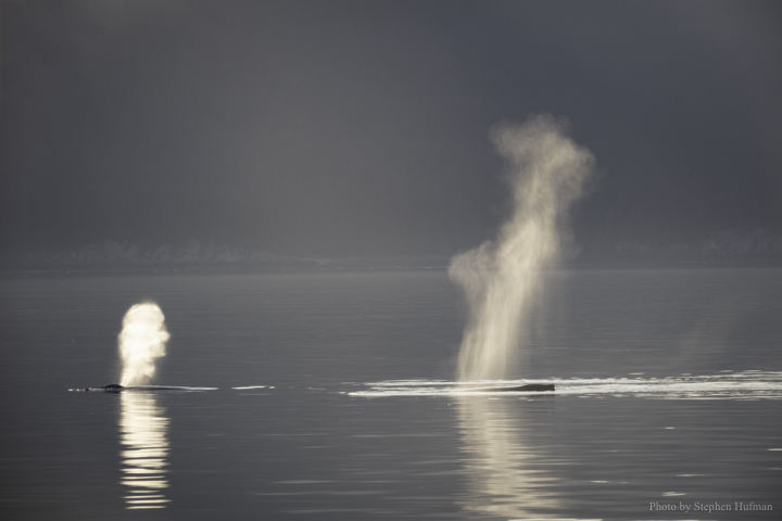 SHg3_190914-Alaska-0378-Edit