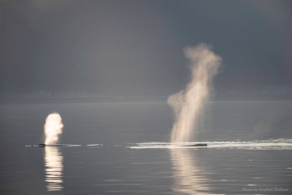 SHg3_190914-Alaska-0378-Edit