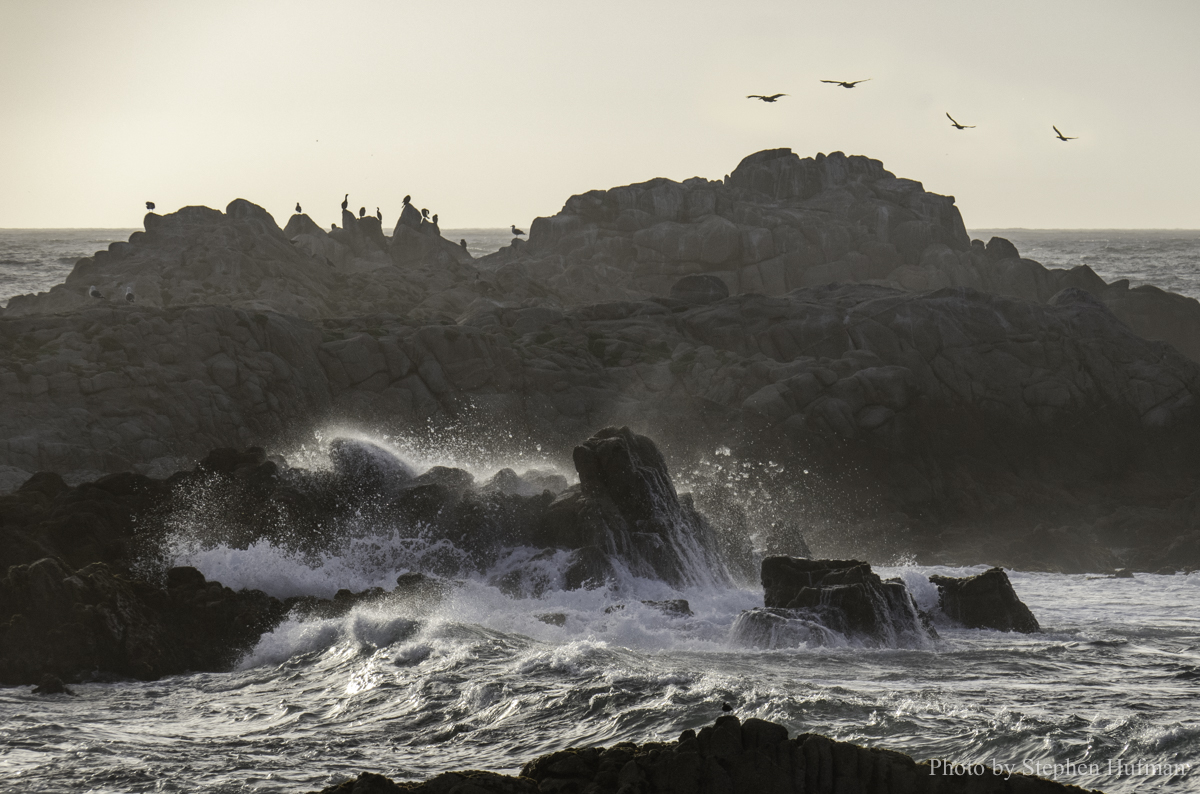 SHg3_190418-8222-2-Edit