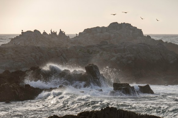 SHg3_190418-8222-2-Edit