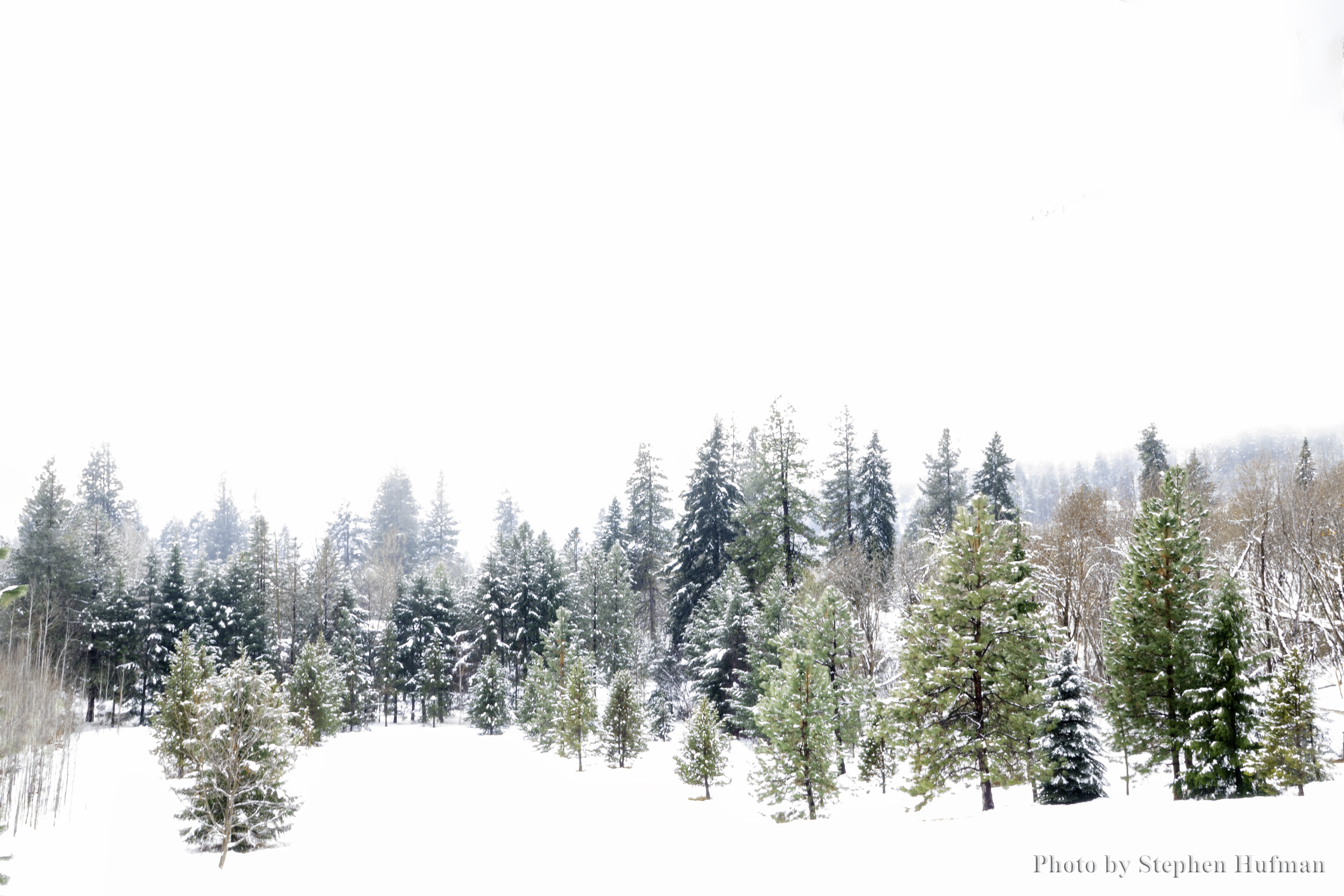 SHrx_200121-0405-Edit