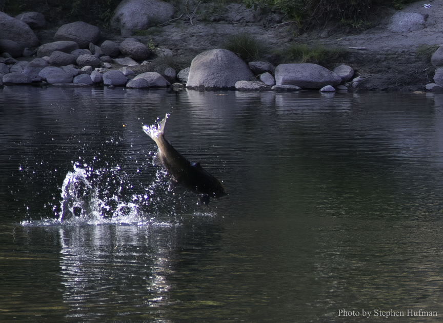 SH_140921-2065-gigapixel-scale-2_00x-Edit