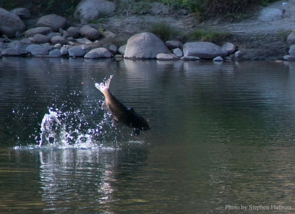 SH_140921-2065-gigapixel-scale-2_00x-Edit