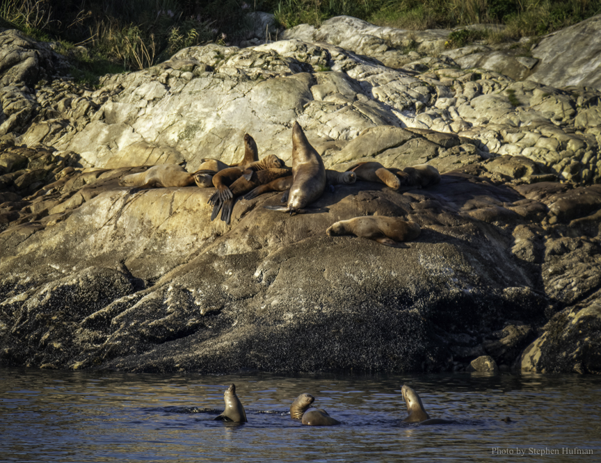 SHg3_190914-Alaska-0272-Edit