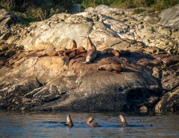 SHg3_190914-Alaska-0272-Edit